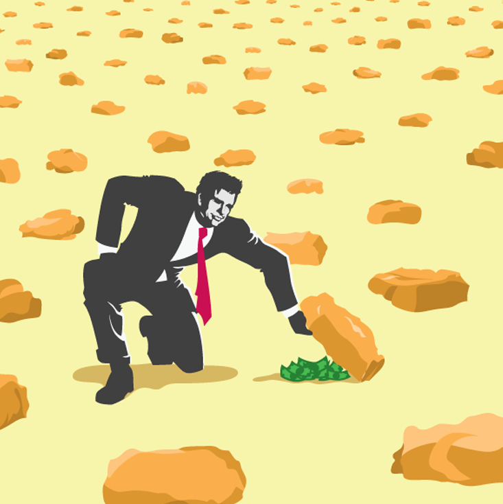 VHA Turning Over Stones